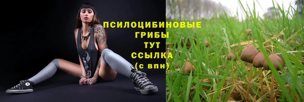 наркотики Алексин