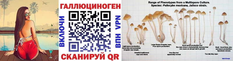 Галлюциногенные грибы ЛСД  kraken сайт  Туймазы  купить  цена 